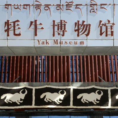 西藏耗牛博物館