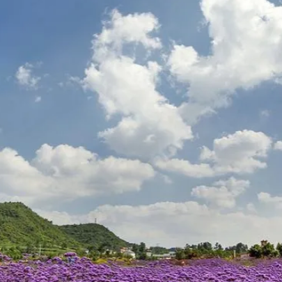 白雲蓬萊仙界·白雲休閒農業旅遊景區