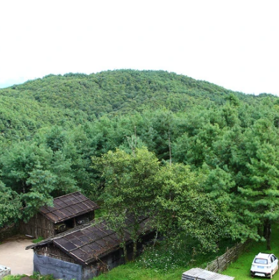 楊善洲林場景區