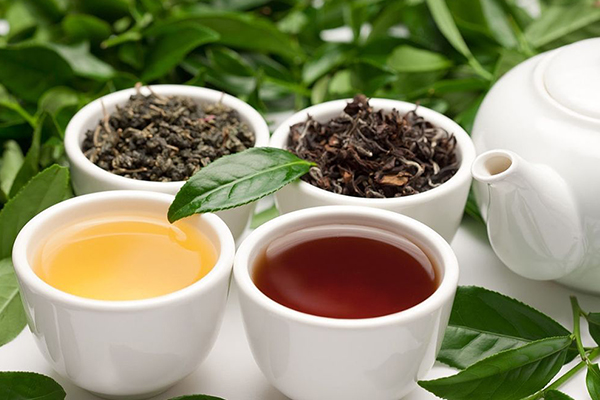 紅茶和綠茶的區別是什麼