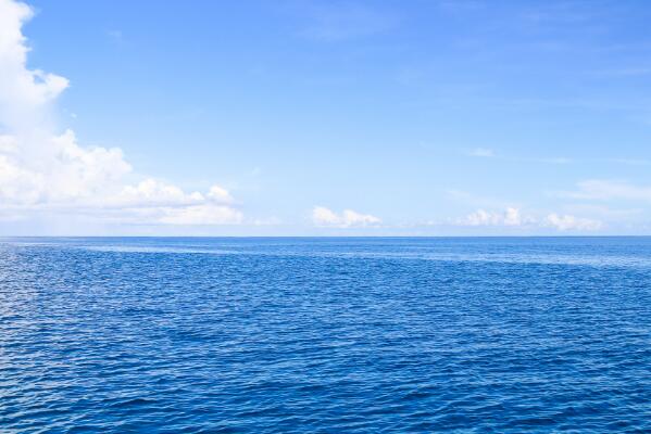 世界十大最大的海