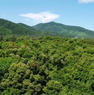 海南熱帶雨林國家公園