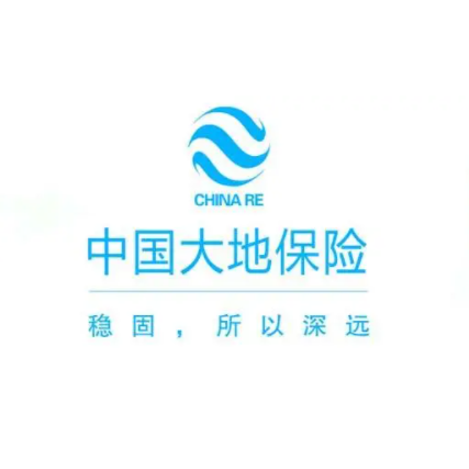 中國大地保險app
