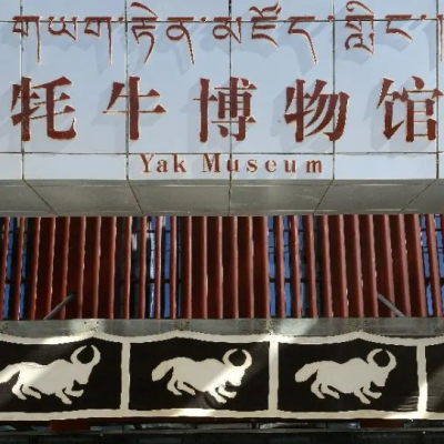 西藏氂牛博物館