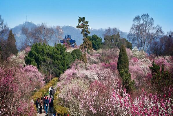 南京十大自然風景排名
