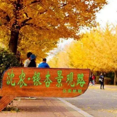 瀋陽農業大學