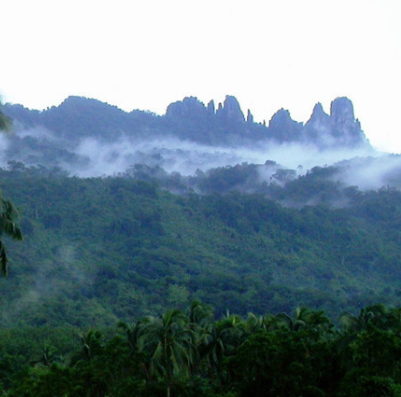 五指山熱帶雨林風景區