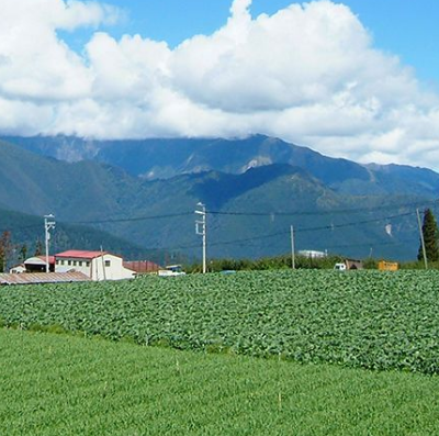 福壽山農場