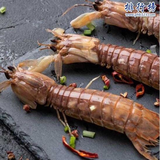 渤海灣皮皮蝦