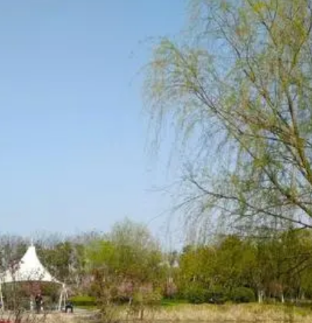 春江公園