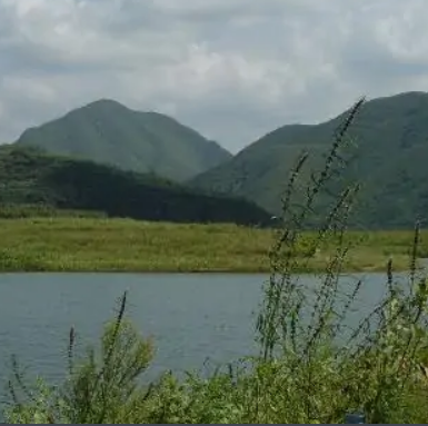 青龍湖國家濕地公園