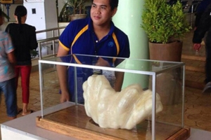 世界上最大的珍珠，菲律賓珍珠重34公斤（漁民不識貨雪藏10年）