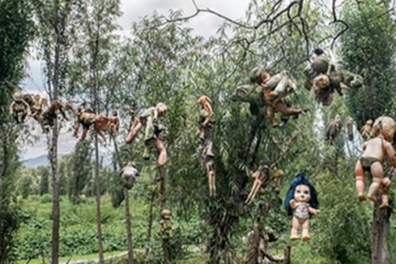 世界十大奇特島嶼：玩偶之島娃娃遍地恐怖至極