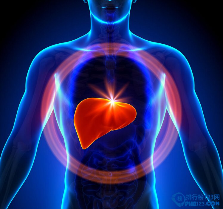 肝臟為什麼是人體最大的解毒器官