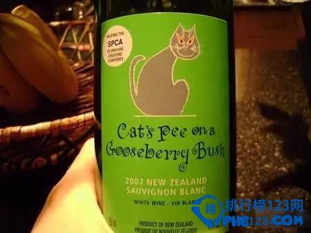 世界十大最奇特葡萄酒品牌：貓尿Cat