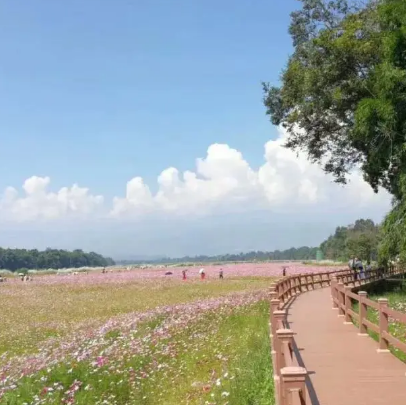 盈江國家濕地公園