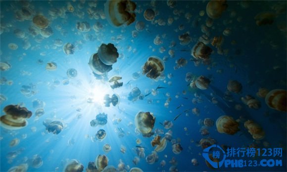 世界十大自然奇觀之水母湖