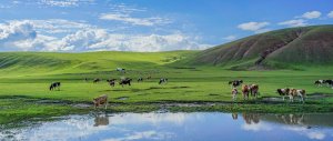1月份去內蒙古旅遊合適嗎？寒潮時期不建議(五月份到十月最佳)