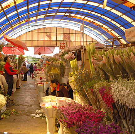 斗南花卉市場