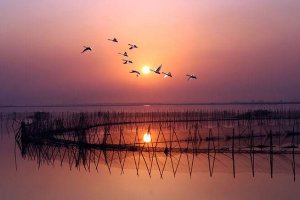 中國十大淡水湖排名 洞庭湖排名第二,江蘇有三處湖泊上榜