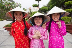 2017年越南人口數量，人口紅利慢慢消失(預計9150萬人)