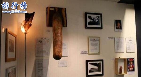 世界上最長的陰莖：戰鬥狀態下60厘米，東北吳先生為國爭光