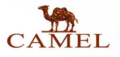 駱駝/CAMEL