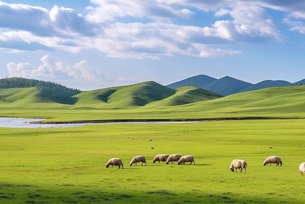 2023內蒙古民營企業100強榜單：羊毛公司排第二，第一是乳業公司