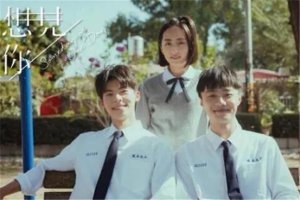 2020十大華語電視劇排行榜：隱秘而偉大上榜，想見你評分最高