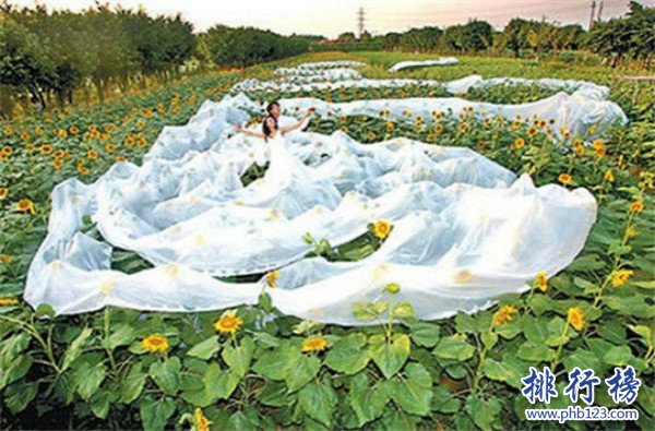 世界上最長的婚紗,中國婚紗長達4100米（40人捧裙擺）