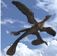 世界上翅膀最多的鳥，四隻翅膀的四翼鳥（外形如同恐龍）
