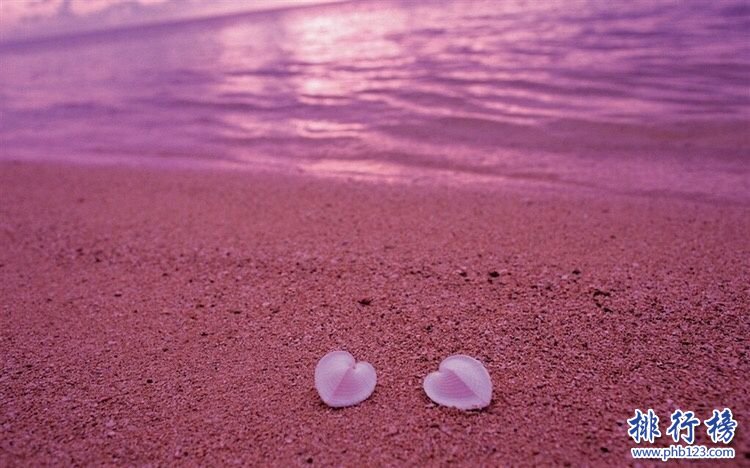 全球最有特色的沙灘排名：粉色沙灘魅力難擋(蜜月聖地)