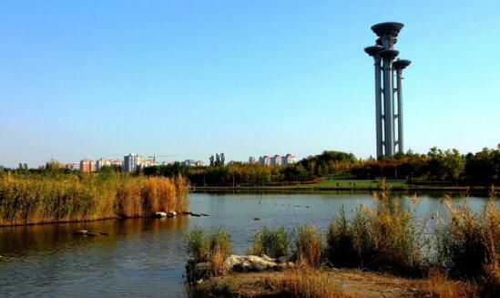 北京好玩的地方排行榜 北京動物園距今已有上百年，你去過沒
