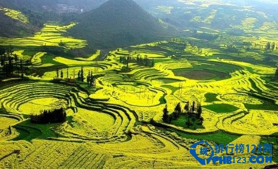 中國最大的自然花園獲世界吉尼斯記錄