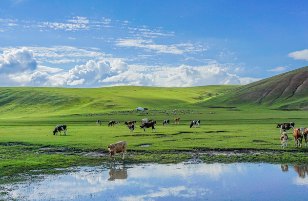 內蒙古學生旅遊景點大全排名