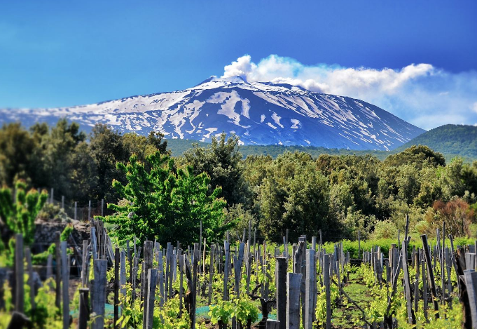 義大利五大葡萄酒產區 西西里島榜上有名，托斯卡納景美酒美