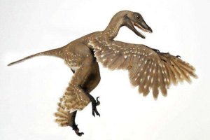 世界十大最著名恐龍 始祖鳥會飛秀頜龍體型小