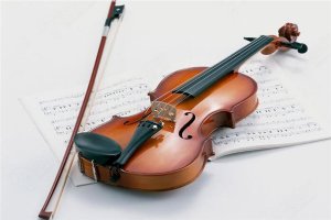 十種不適合學小提琴的人 中招了千萬別學，燒錢還費時間