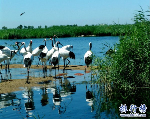 中國十大河流排行榜,長江是中國第一長河全長6403千米（世界第三）