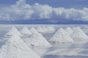 天然湖鹽排名榜前十名：洛桑湖鹽上榜，第七荷蘭的