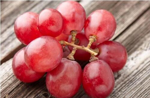 世界上最貴的葡萄：浪漫紅寶石一串6.6萬(日本天價葡萄)