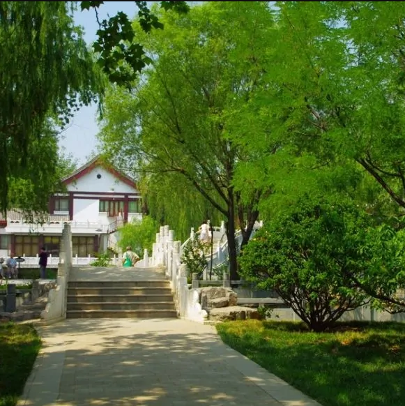 天津最漂亮的免費公園排行榜