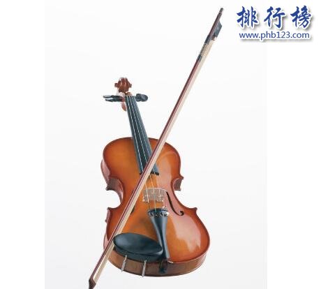 質量最好的小提琴牌子有哪些？小提琴十大品牌排行榜