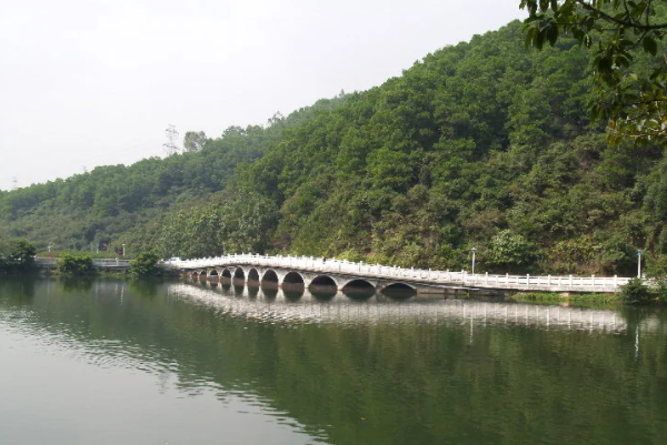 深圳十大最美公園排行榜