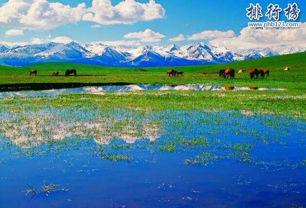 中國四大草原，呼倫貝爾大草原是民族大融合的象徵
