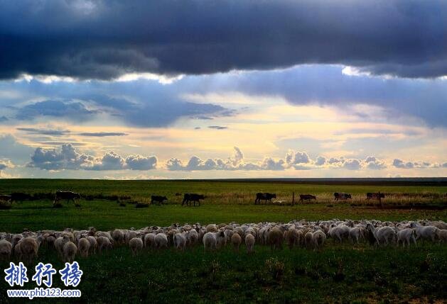 中國四大草原，呼倫貝爾大草原是民族大融合的象徵