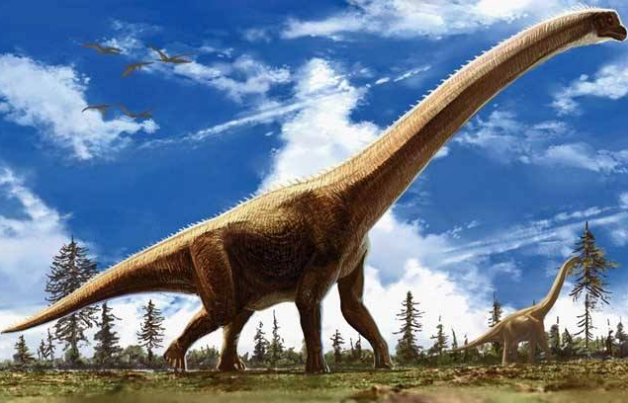 世界最大的十大恐龍 阿根廷龍位列榜首，高度達35米