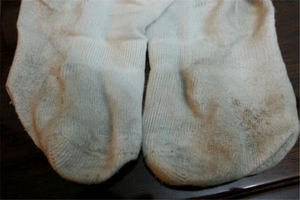 襪子和內褲可以一起洗嗎