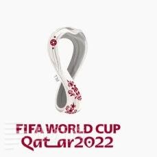 2022年世界盃亞軍：法國