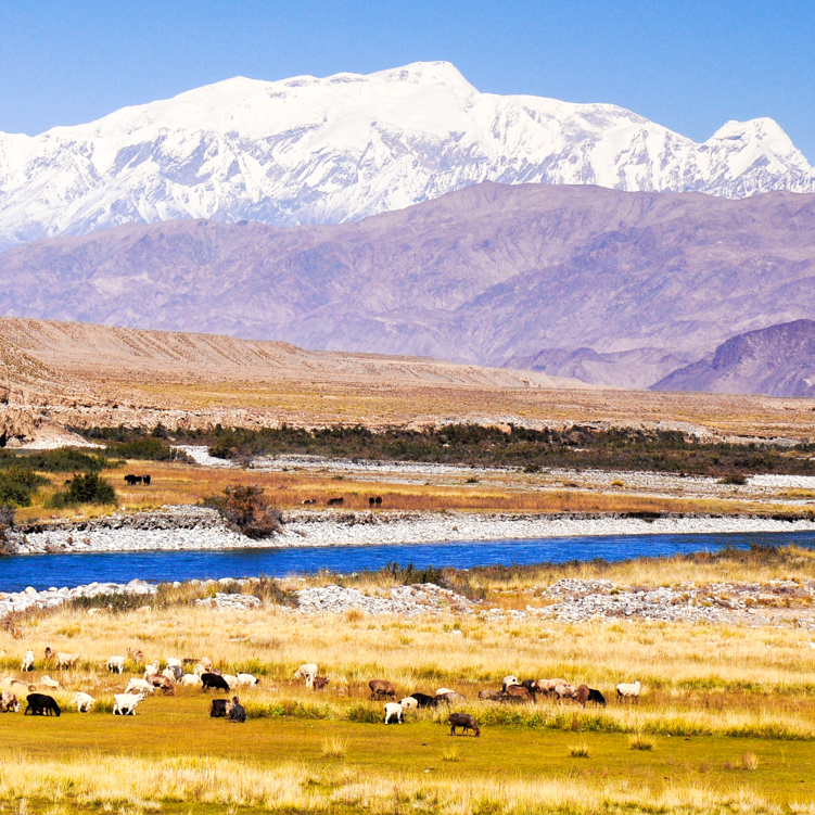 新疆最有名的山排名榜